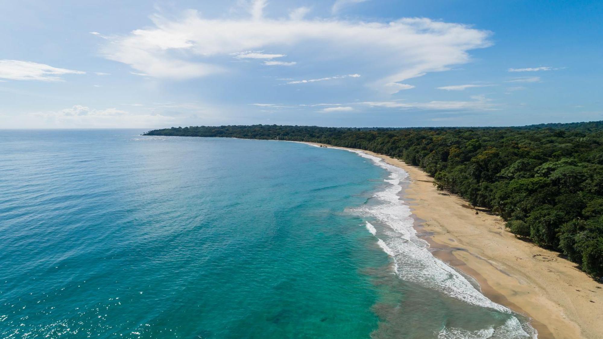 Almonds & Corals Boutique Hotel Puerto Viejo de Talamanca 외부 사진
